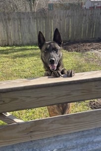 K9 Officer Hunter