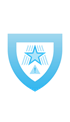 Cybersecurity and Elections