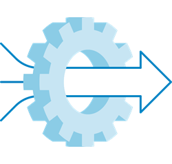 Development focused