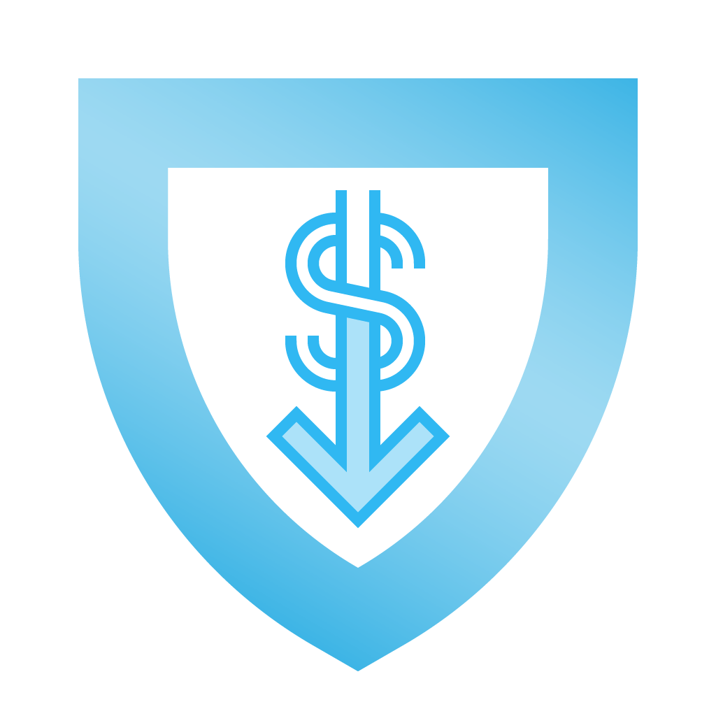reduced budget icon
